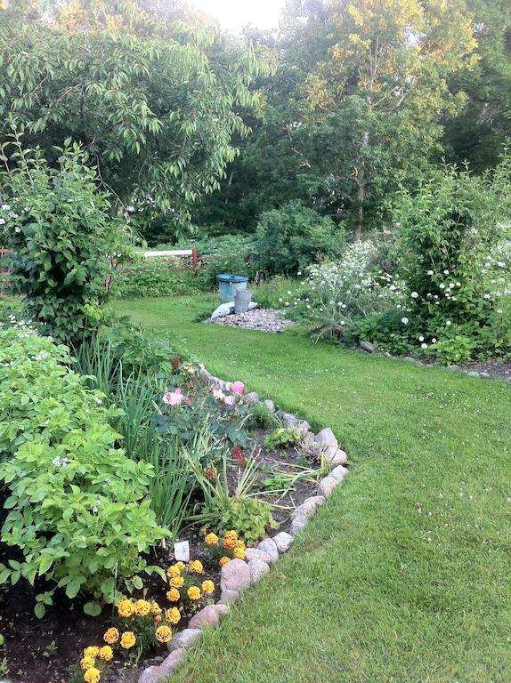 Sparrens Bed And Breakfast Fiskesa Quarto foto