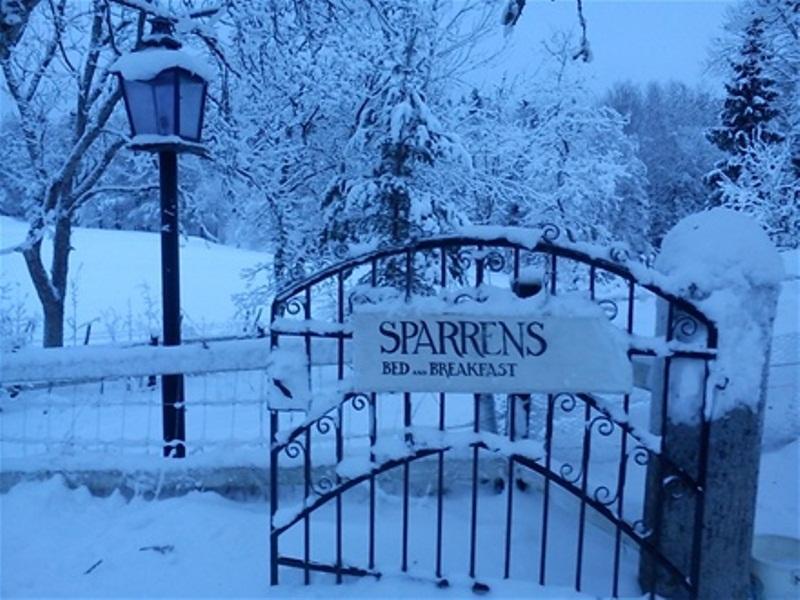 Sparrens Bed And Breakfast Fiskesa Exterior foto